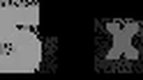 徐彬：20岁西海岸新星助力中超连场得分